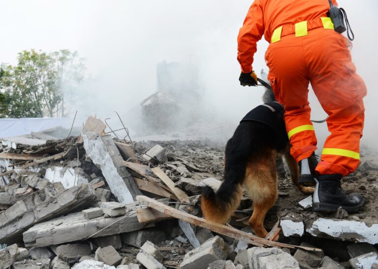 Earthquake Rescue Dogs Save Lives in Turkey, Syria