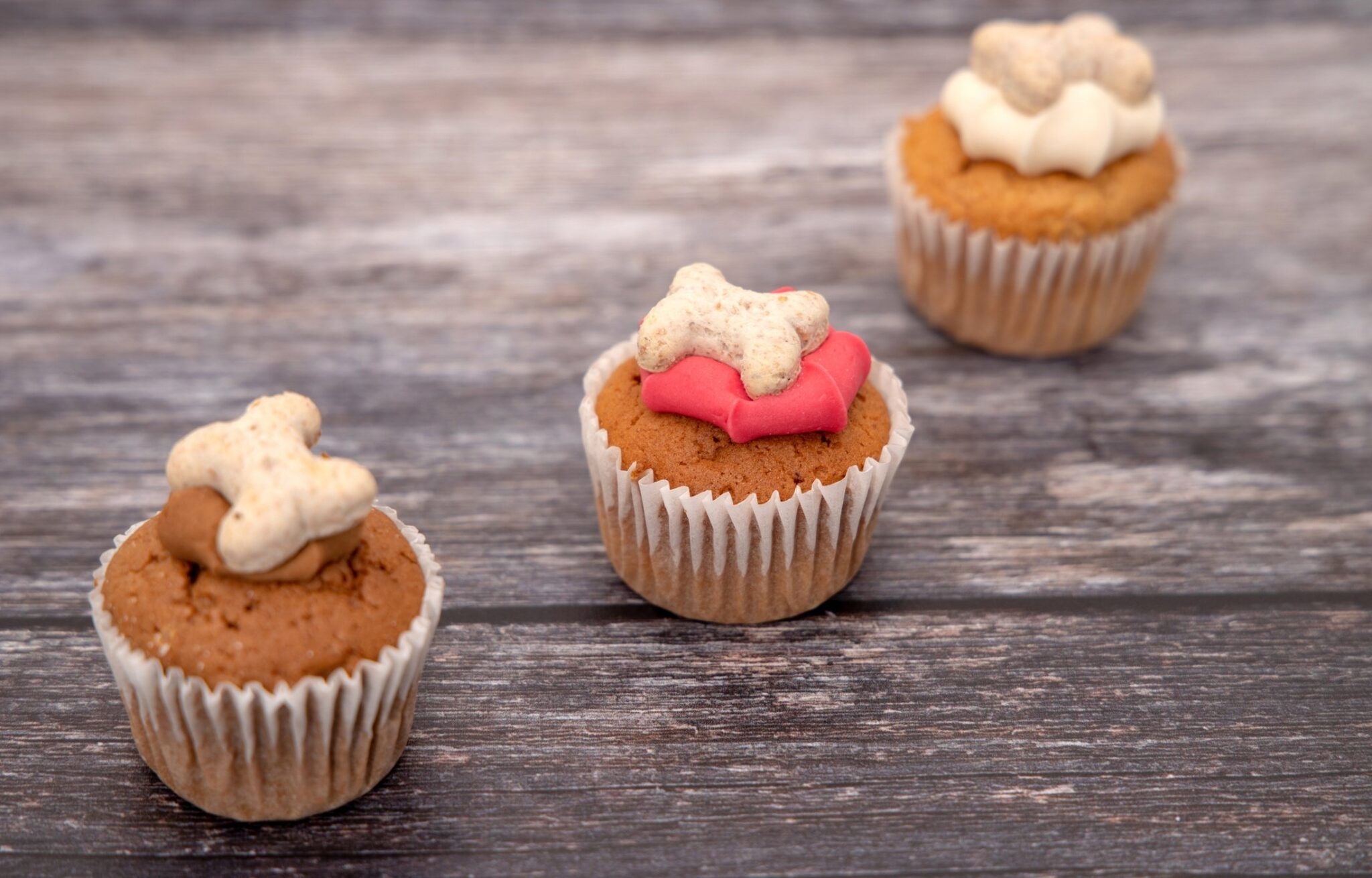 Celebrate-Halloween-with-your-dog