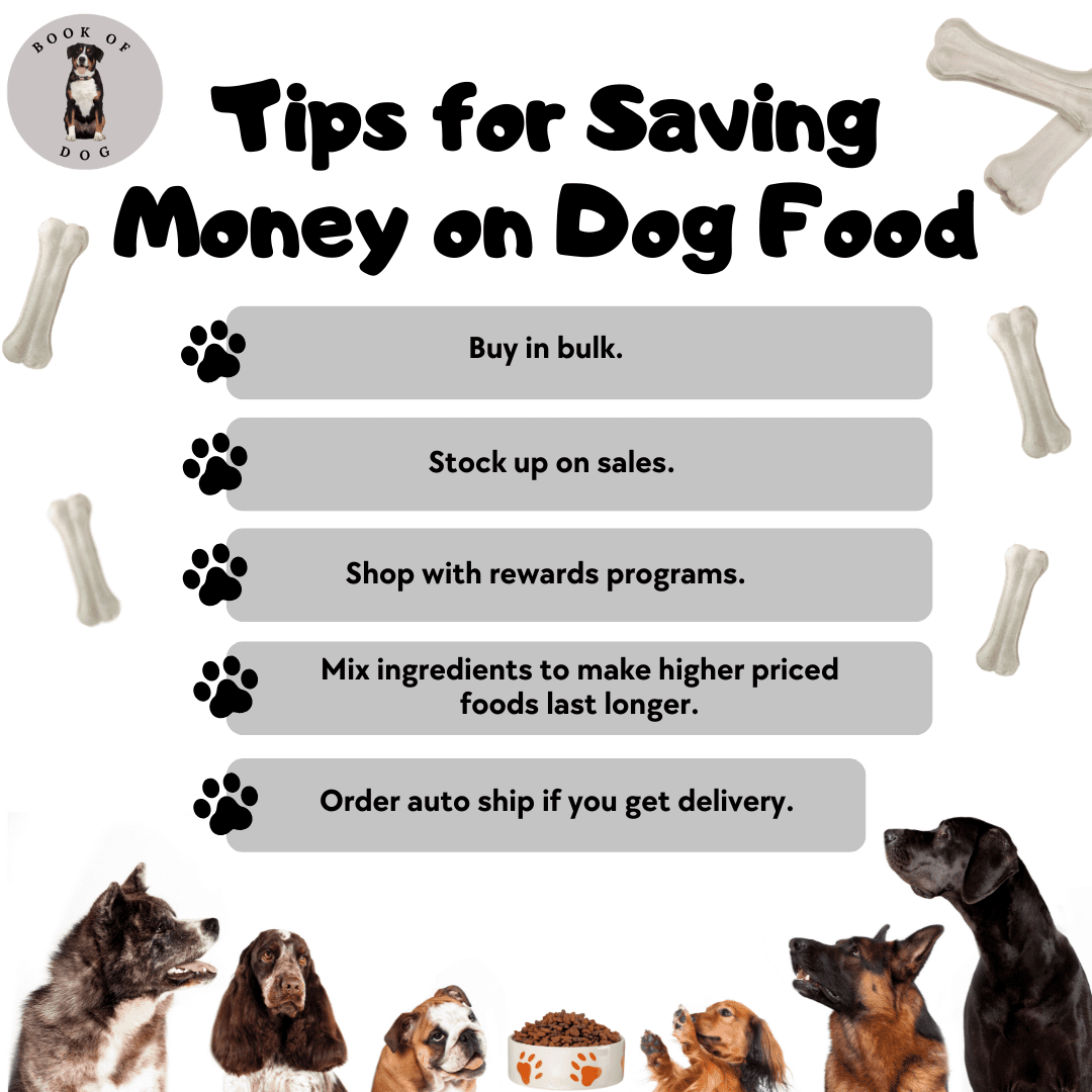 dog-food-cost-per-month