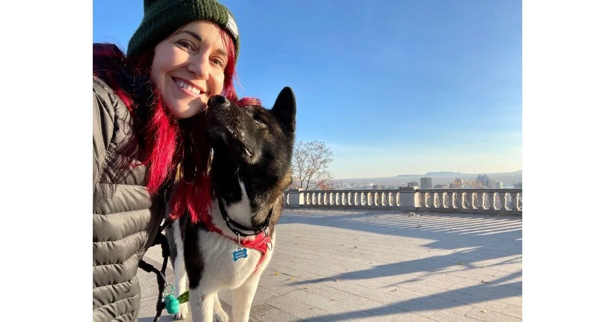 Guide to Traveling with a Large Dog