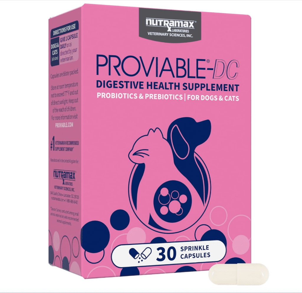 favorite products dog probiotics